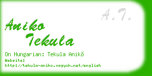 aniko tekula business card